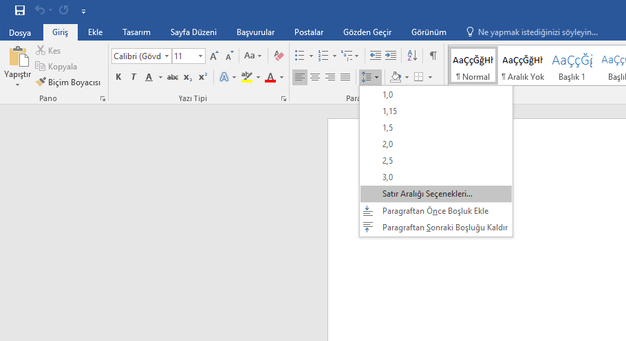 Word'den anlayan satır boşluğu yan boşluk vs içeri bakabilir mi? - R10.net