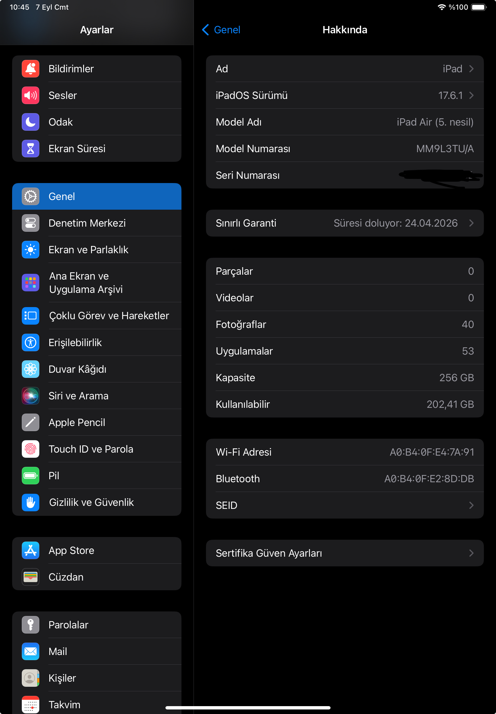 Ipad air 256 gb + apple pencil garanti belgeli - R10.net
