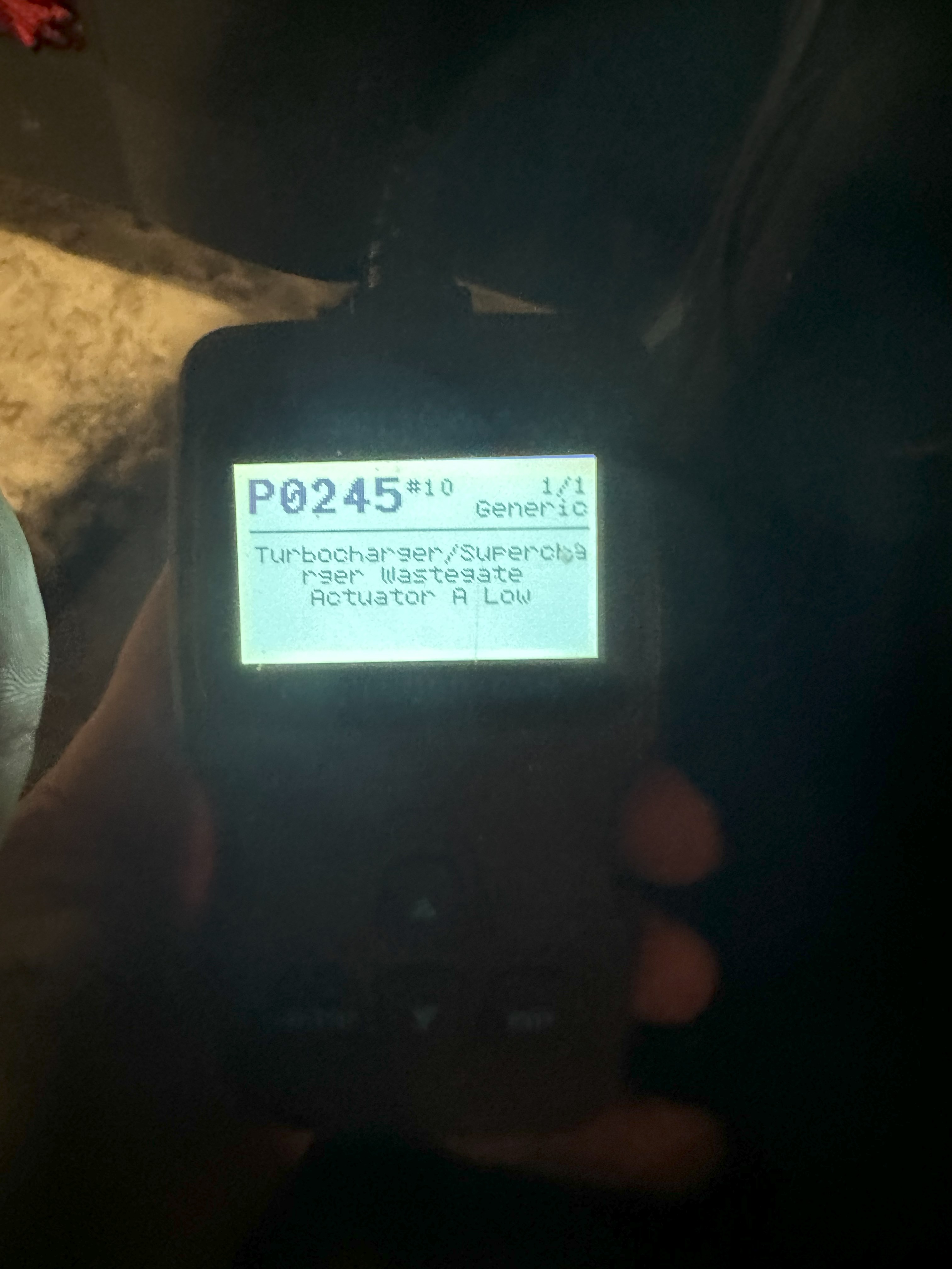 3898012515.jpg