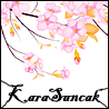 KaraSancak - ait Kullanıcı Resmi (Avatar)