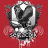 sertacbjk - ait Kullanıcı Resmi (Avatar)