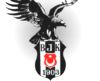 ayhanlicina - ait Kullanıcı Resmi (Avatar)