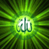 taamtaam - ait Kullanıcı Resmi (Avatar)