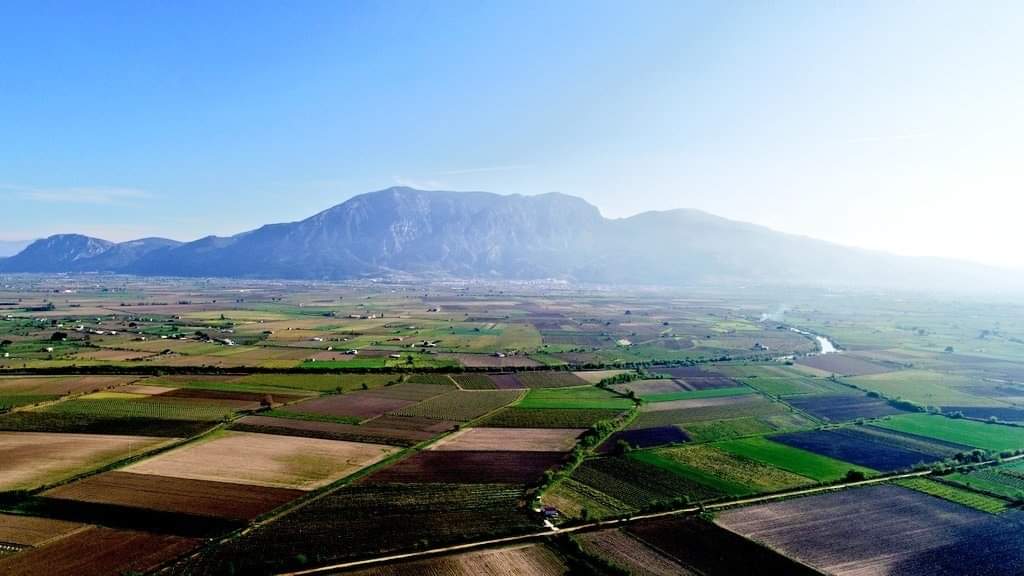 diyaraslan - ait Kullanıcı Resmi (Avatar)