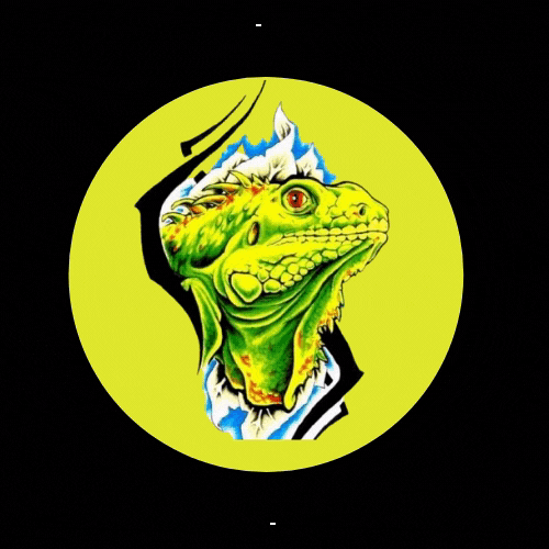 Iguanabey - ait Kullanıcı Resmi (Avatar)