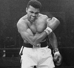 Boxer - ait Kullanıcı Resmi (Avatar)