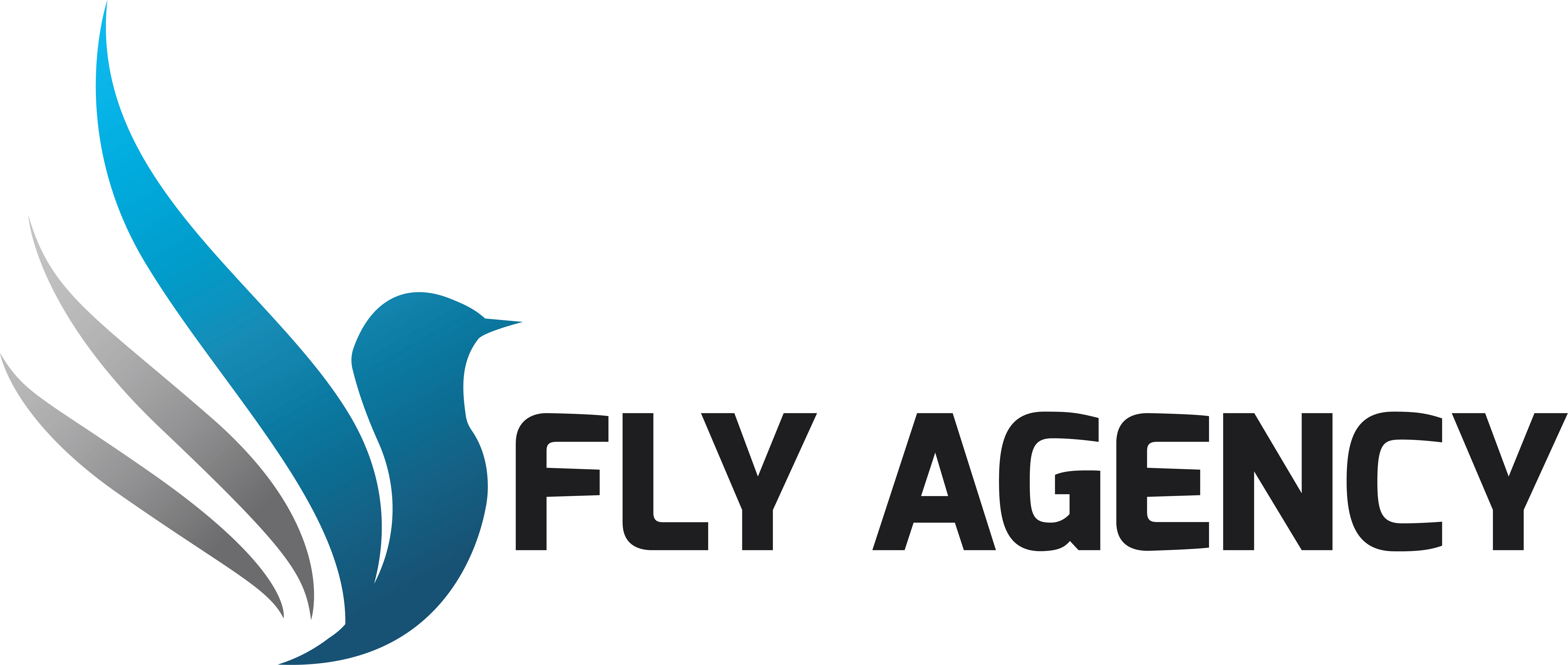 FlyAgency