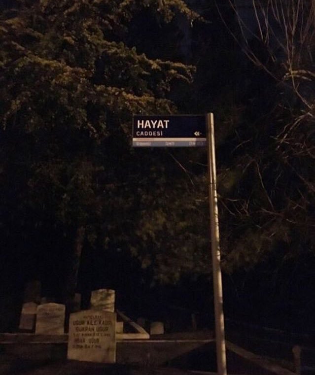 MarsMedya