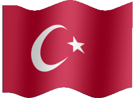 basaran3