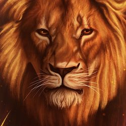 lionparsde