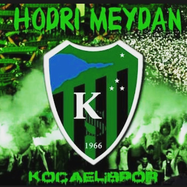kocaelispor133