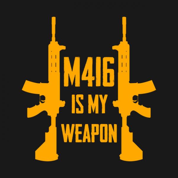 M416