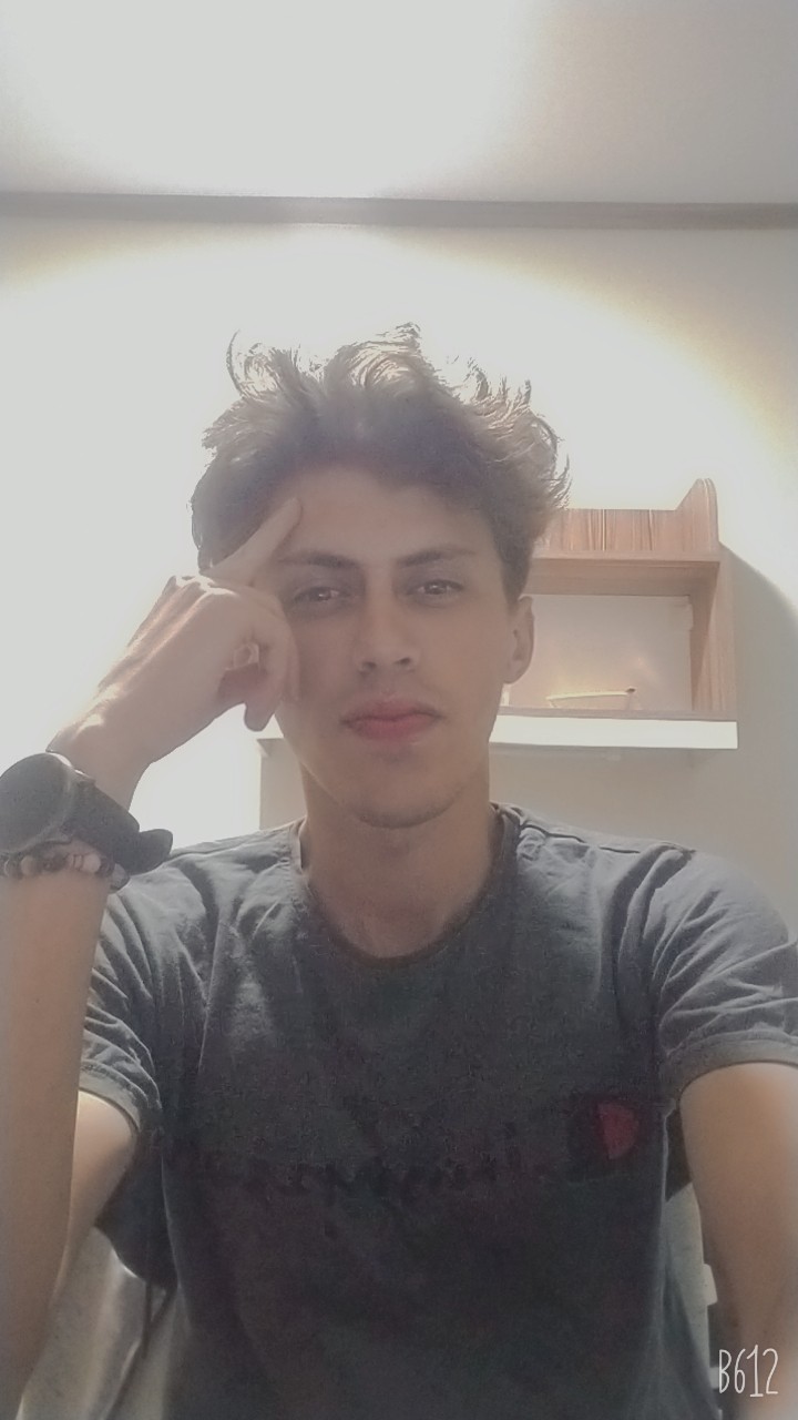 AydinBLDR