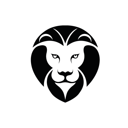 LionBilisim