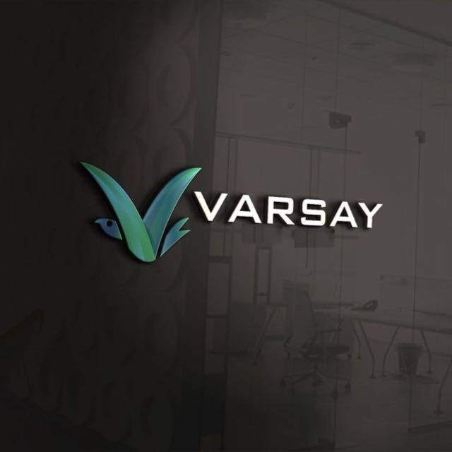 varsaybilgisaya