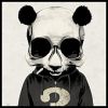 Dr_midas