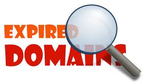 domainhavuzu
