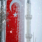AVSAR42