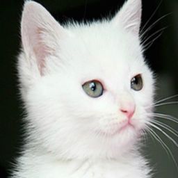 yapici3