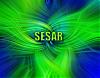 sesar