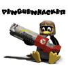 PengueNHackeR