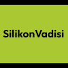SilikonVadisi
