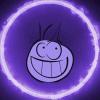 insolitax