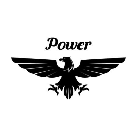 eagle_eye