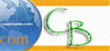 CyberBilisim