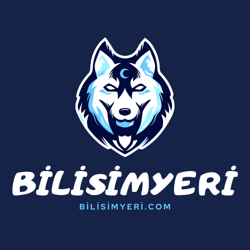 Bilisimyeri