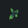 Rusty4TX