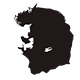 asilaslan
