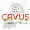 CvsFurkan