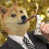 DogeCoin