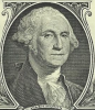 BirDolar
