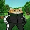 petri