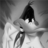 daffyduck