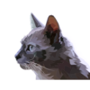 Kewk