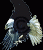evdeneve