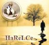 harelce