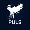 Puls