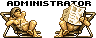 d3nizci