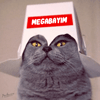 Megabayim