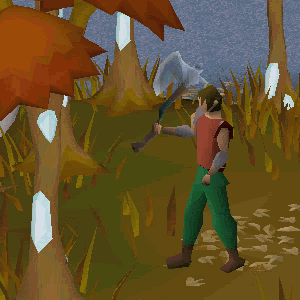 fivefingerx