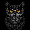 NachtVogeL