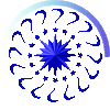 hasanmcl