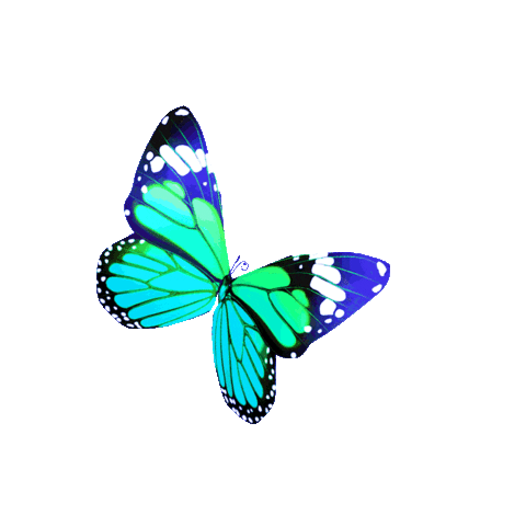 winpeace