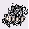 Aligment