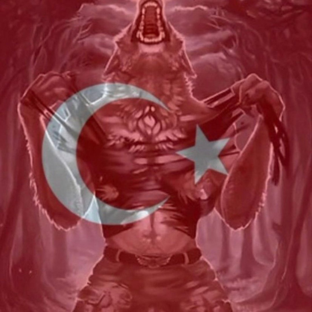 Ali46