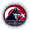 SiberOtag